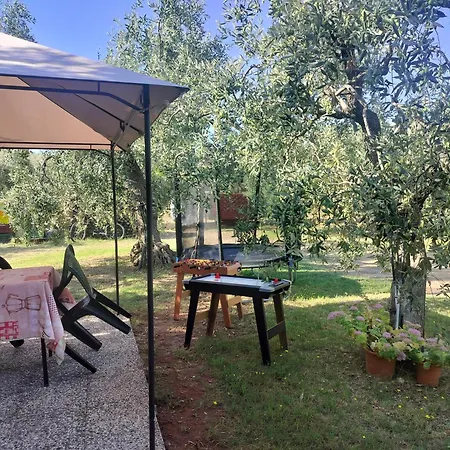 Olive's House Сasa de vacaciones Skala Rachoni (Thasos)