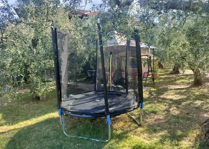 Olive's House
