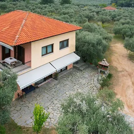 Olive's House Vakantiehuis Skala Rachoni (Thasos)