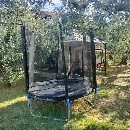 Olive's House